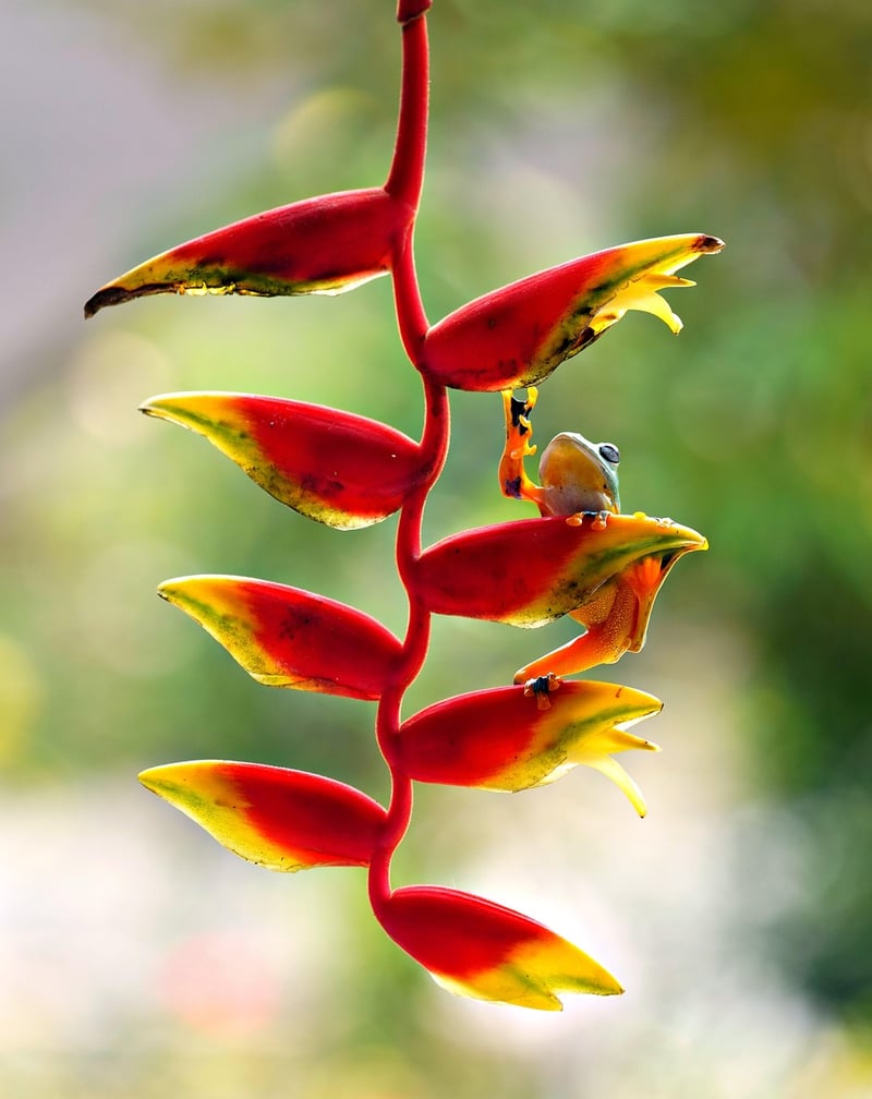 Hanging plant tutorials