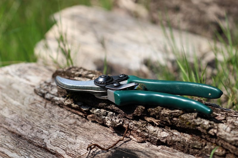 Pruning techniques